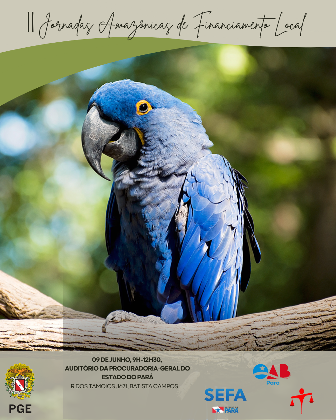II JORNADAS AMAZÔNICAS DE FINANCIAMENTO LOCAL