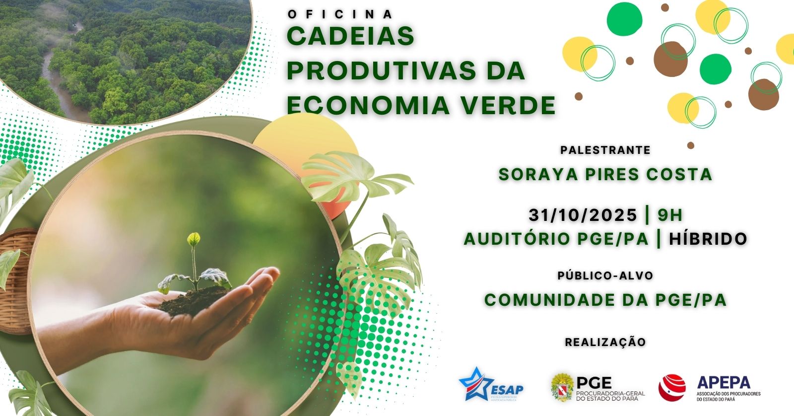 OFICINA: CADEIAS DA ECONOMIA VERDE